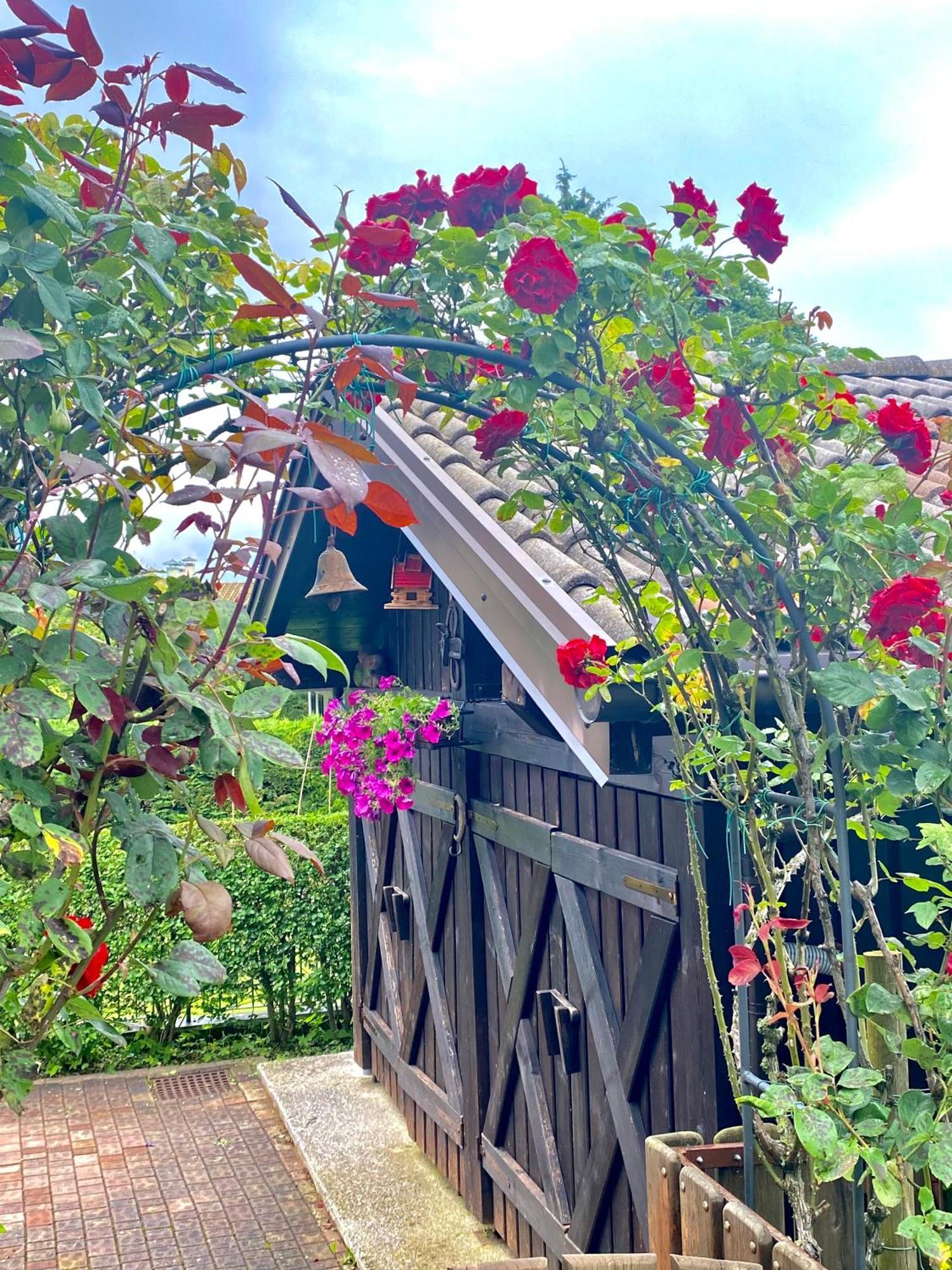 פאי דלה פאגאנלה Casa Pallanch מראה חיצוני תמונה